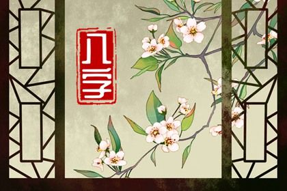 命宫身宫速读