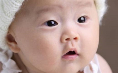 缺什么就补什么吗